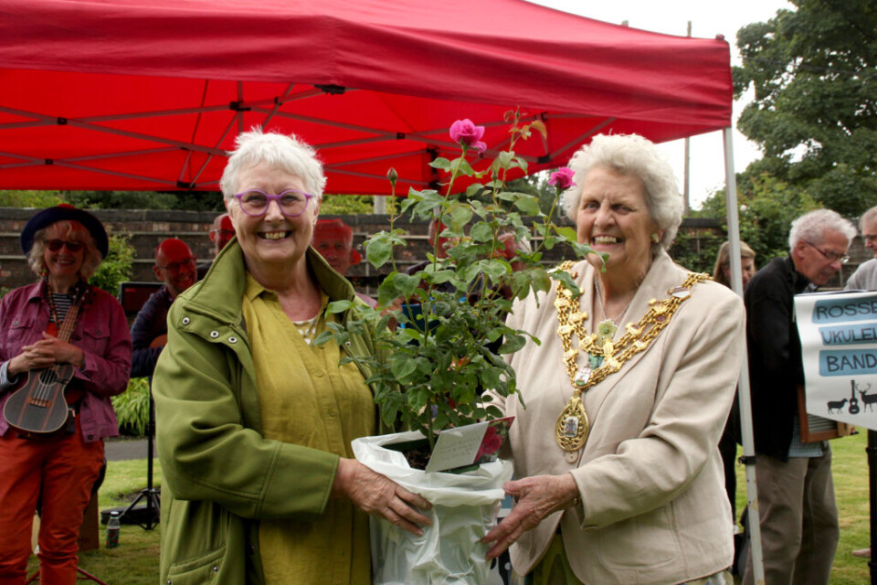 mayor of rossendale presenting a rose bush to smiling lady